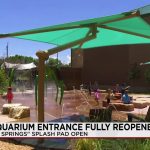 Beyond the Blue Light: Can Public Aquariums Salvage Childhood in a Digital Age?