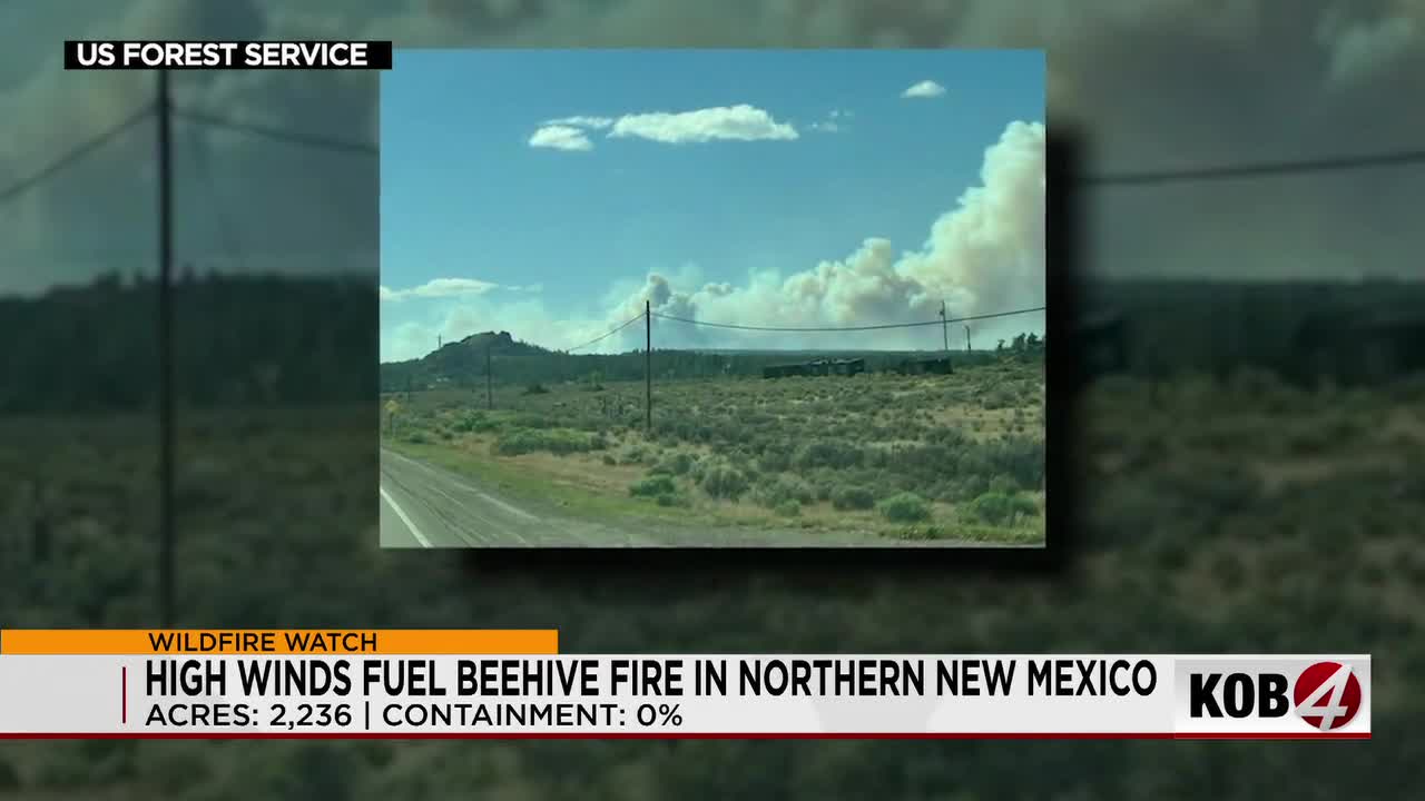 Desert’s Fury: New Mexico Wildfire Roars Unchecked, Igniting Policy Fault Lines Desert’s Fury: New Mexico Wildfire Roars Unchecked, Igniting Policy Fault Lines