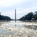 Lincoln Memorial Reflecting Pool Set for More Repairs Just Weeks After US.7 Million Renovation Lincoln Memorial Reflecting Pool Set for More Repairs Just Weeks After US.7 Million Renovation