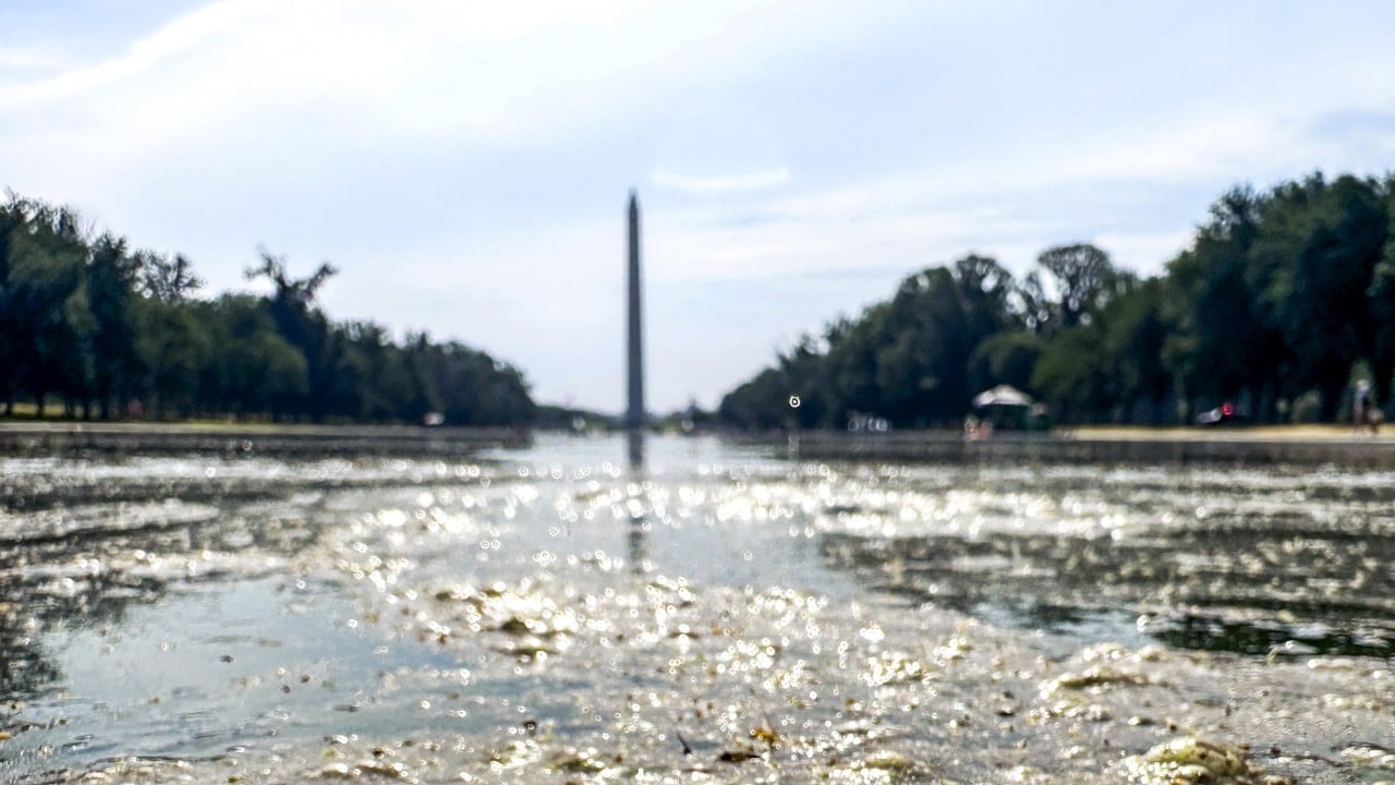 Lincoln Memorial Reflecting Pool Set for More Repairs Just Weeks After US.7 Million Renovation Lincoln Memorial Reflecting Pool Set for More Repairs Just Weeks After US.7 Million Renovation