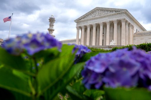 Liberty’s Gatekeeper: High Court Greenlights Revival of Contentious Border Policy