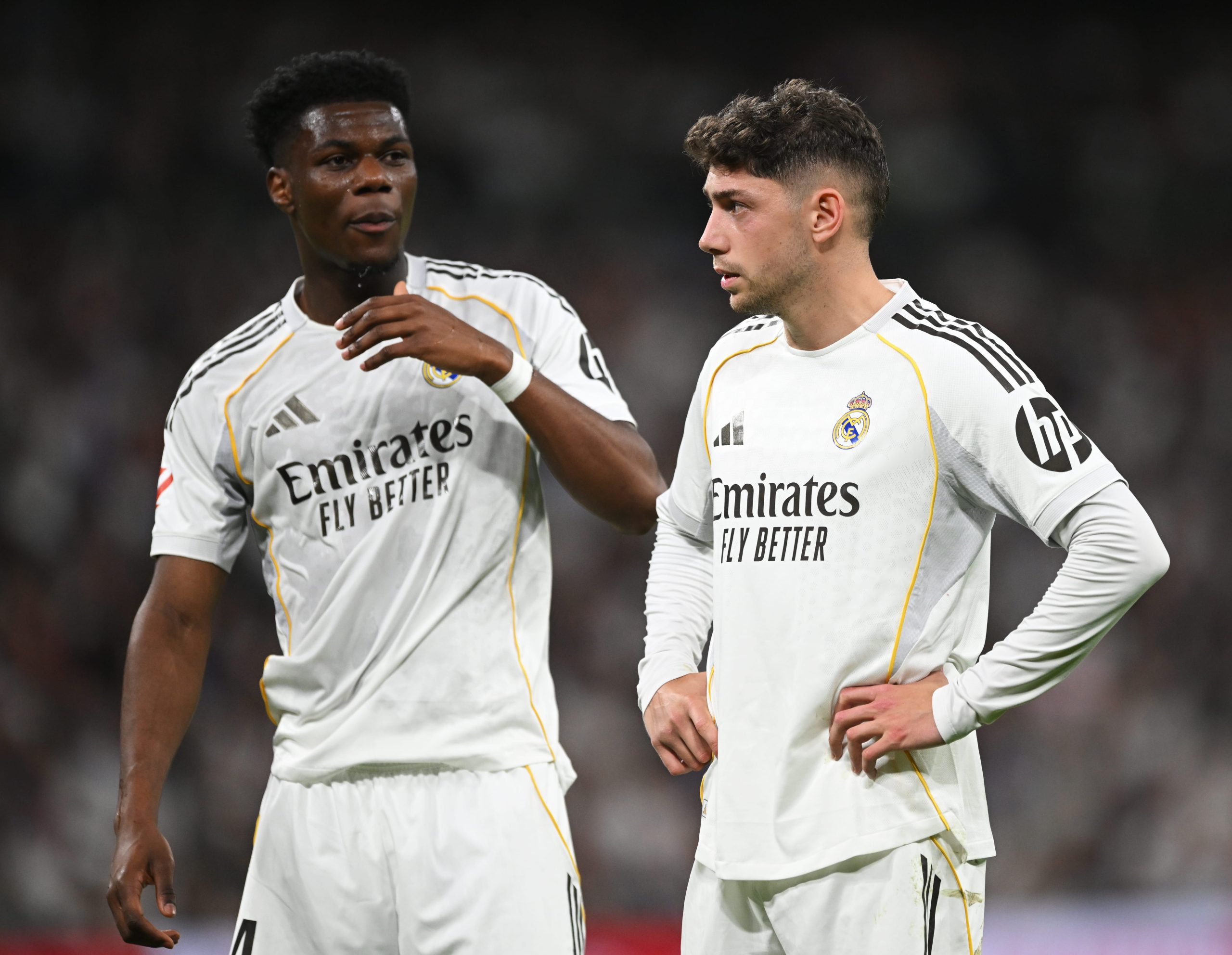 The Price of Command: A Captain’s Scar and Madrid’s Bruised Imperialism The Price of Command: A Captain’s Scar and Madrid’s Bruised Imperialism