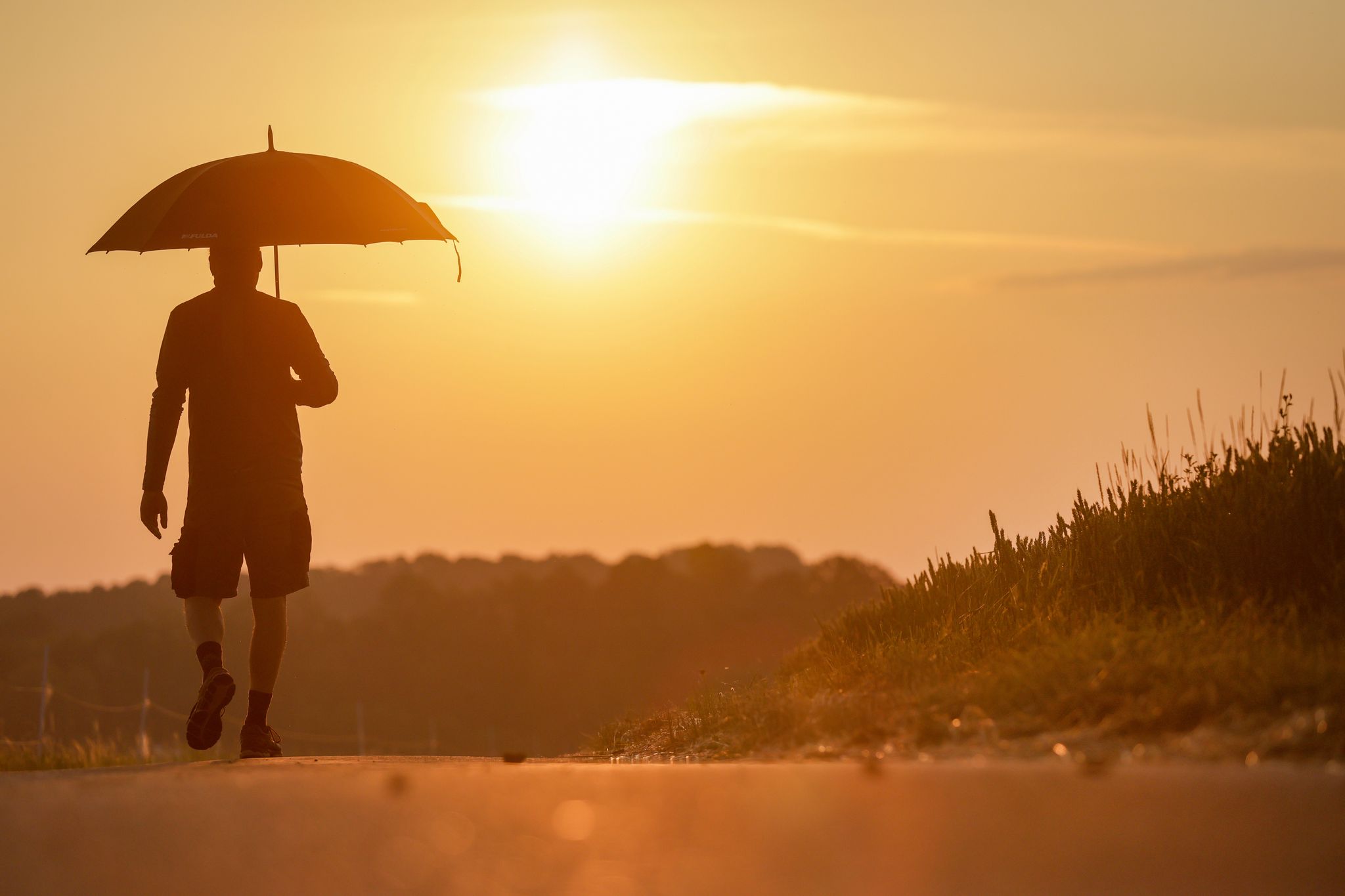Europe Sweats: German Record Heat Hints at Broader Climate Challenge