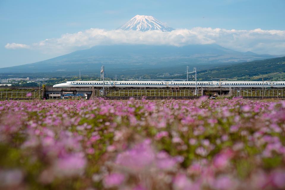 Silent Tracks, Unspoken Rules: Japan’s Rail Etiquette Exposes Deeper Cultural Rifts