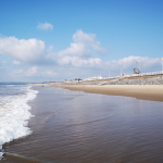 Silent Ripples: The Policy Abyss Behind a Beachfront Tragedy Silent Ripples: The Policy Abyss Behind a Beachfront Tragedy
