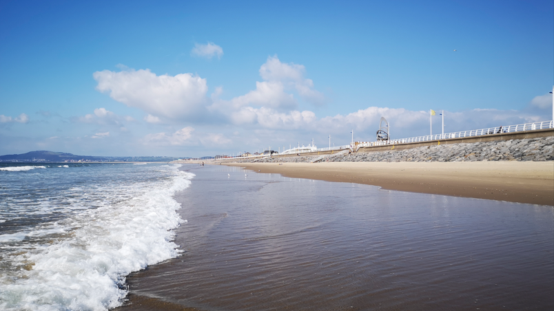 Silent Ripples: The Policy Abyss Behind a Beachfront Tragedy Silent Ripples: The Policy Abyss Behind a Beachfront Tragedy