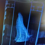 AI’s Deep Dive: How Algorithms Are Snagging Marine Wildlife Traffickers AI’s Deep Dive: How Algorithms Are Snagging Marine Wildlife Traffickers