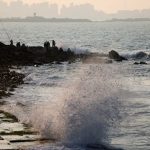 The Ocean’s Silent Scourge: How Humanity’s Waste Paves Way for ‘Superbugs’