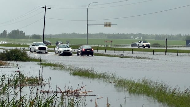Weekend Rain Threatens to Make June Wettest on Record, Environment Canada Forecasts Weekend Rain Threatens to Make June Wettest on Record, Environment Canada Forecasts