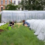 The Cooperation Paradox: What Fresh Research Tells Policy Wonks About Our Supposedly Fractured World