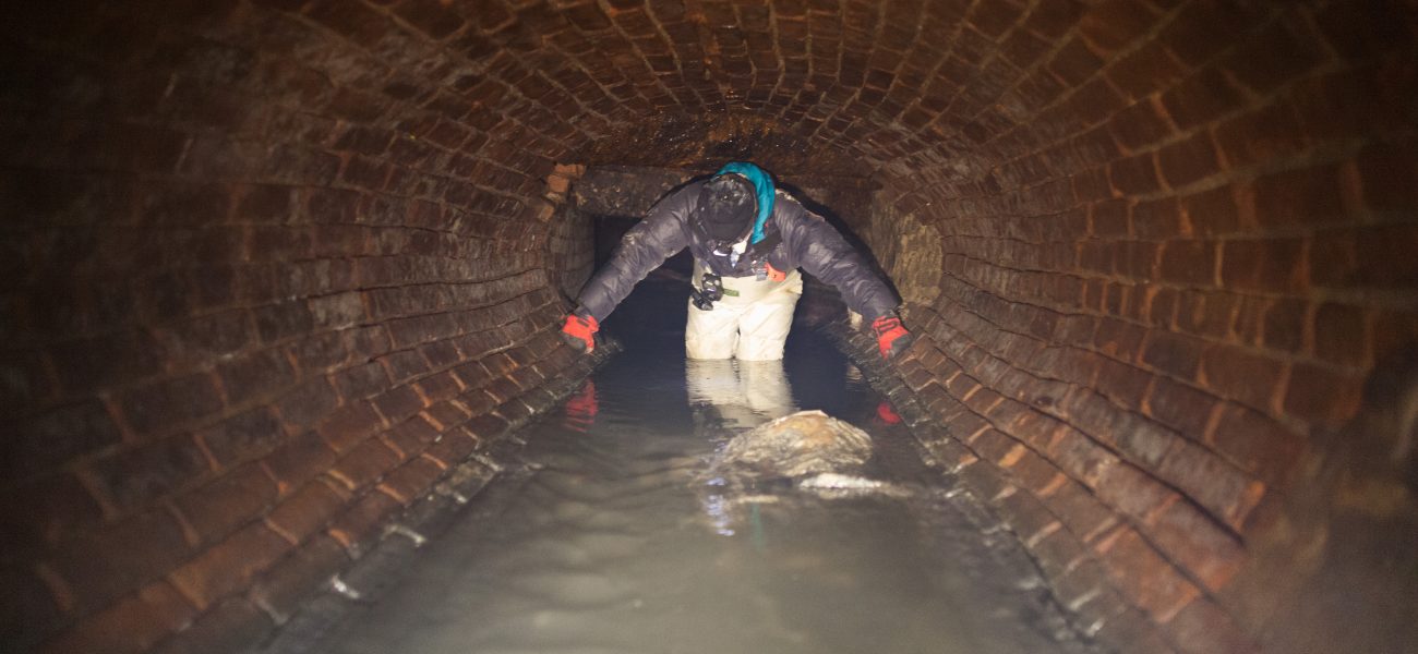 Beneath the Grime: NYC’s Subterranean War Against Itself