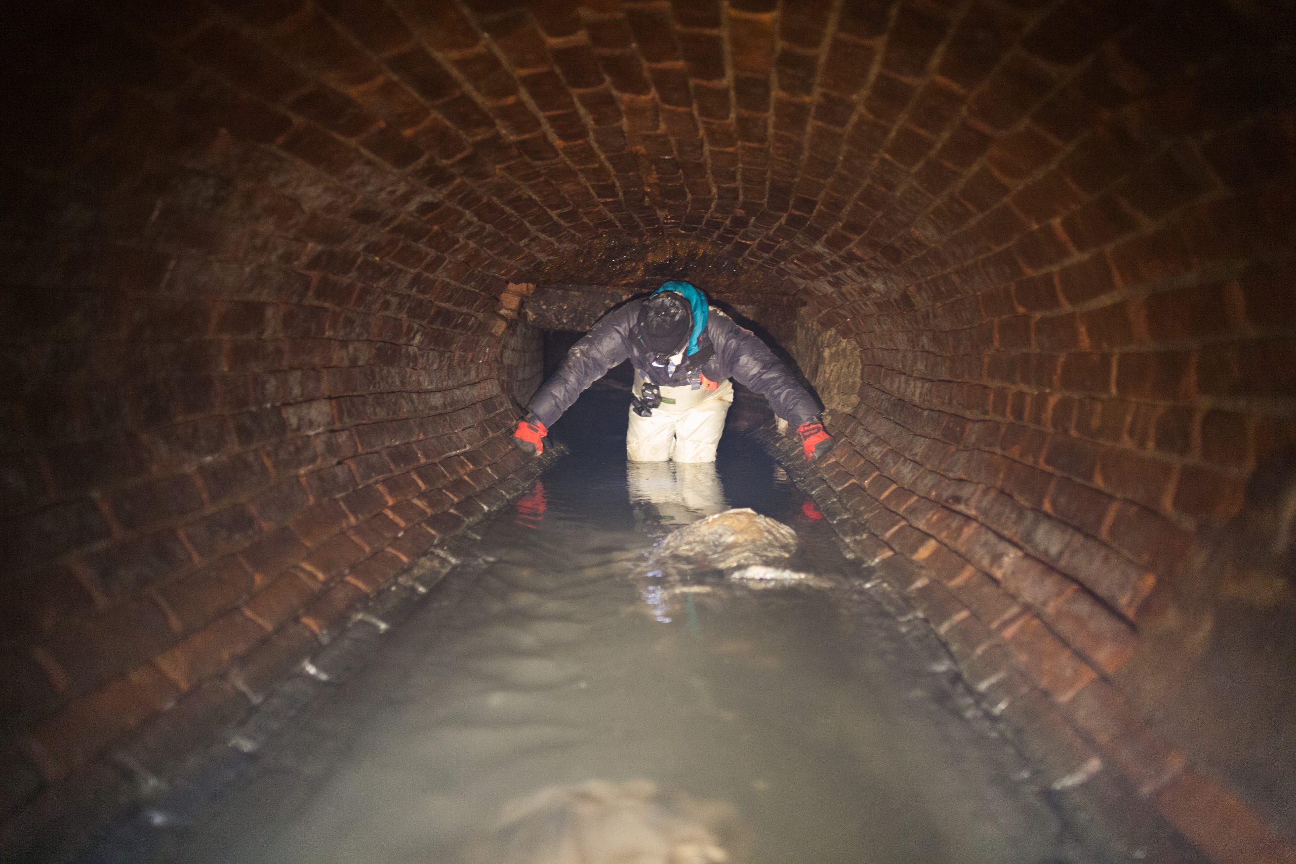 Beneath the Grime: NYC’s Subterranean War Against Itself Beneath the Grime: NYC’s Subterranean War Against Itself