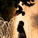 Europe’s Silent Cull: Record Heatwaves Expose Flaws in a Fragile Continent