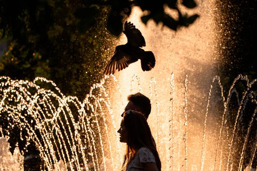 Europe’s Silent Cull: Record Heatwaves Expose Flaws in a Fragile Continent