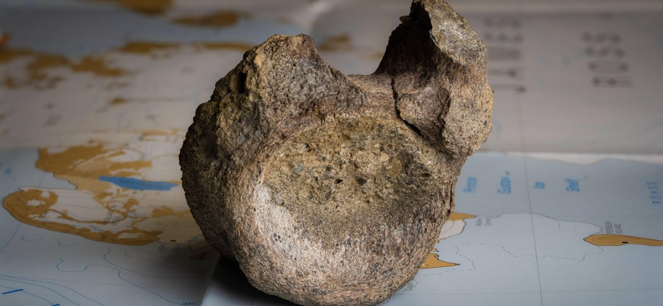 Ice Age Cache: How Antarctica’s Ancient Past Lingered Unseen in a London Drawer Ice Age Cache: How Antarctica’s Ancient Past Lingered Unseen in a London Drawer