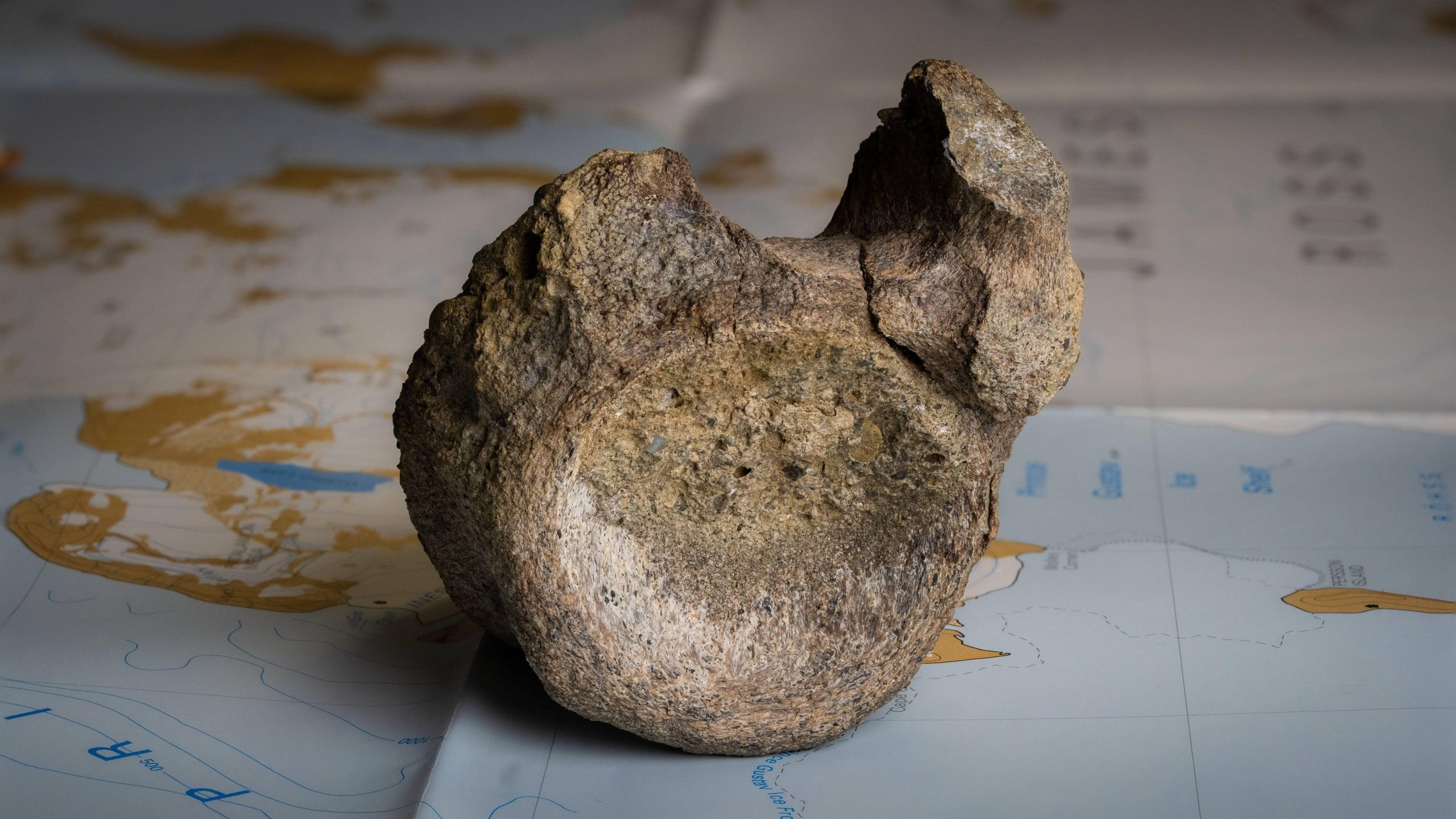Ice Age Cache: How Antarctica’s Ancient Past Lingered Unseen in a London Drawer Ice Age Cache: How Antarctica’s Ancient Past Lingered Unseen in a London Drawer