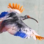 Japan’s Imperial Birds Soar Again: A Policy Rebirth, Not Just a Flight Japan’s Imperial Birds Soar Again: A Policy Rebirth, Not Just a Flight