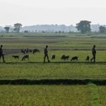 Silent Pact, Shifting Sands: India and Bangladesh Seek Border Détente Amidst Migration Tensions