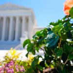 After Trump’s Campaign to Dismantle Mail-In Ballots, High Court Silences the Drums of War, For Now After Trump’s Campaign to Dismantle Mail-In Ballots, High Court Silences the Drums of War, For Now