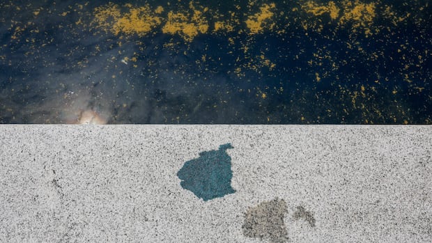 Lincoln Memorial Reflecting Pool Needs Further Repairs Weeks After .7M Renovation; Trump Threatened Prison Time for Vandals Lincoln Memorial Reflecting Pool Needs Further Repairs Weeks After .7M Renovation; Trump Threatened Prison Time for Vandals