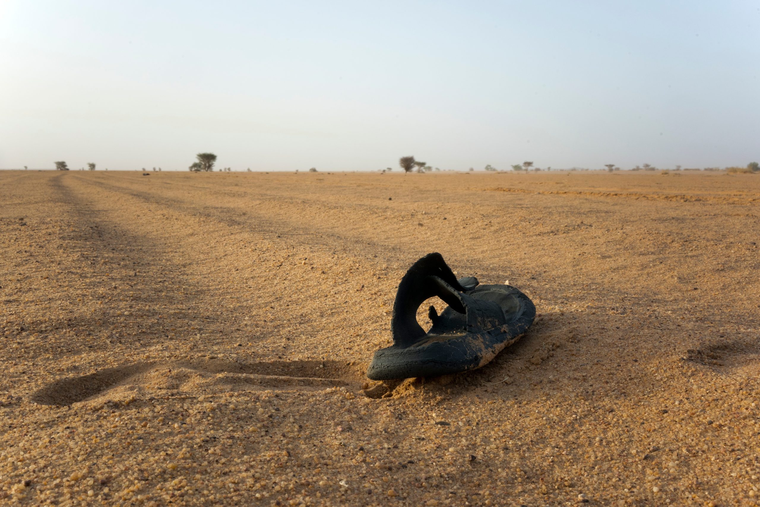 Sahara’s Silent Scream: 49 Dead in Niger as Desert Devours Hope
