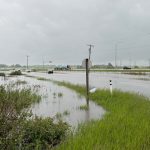 Edmonton Region Imposes Urgent Water Conservation Amid Wastewater Overload Edmonton Region Imposes Urgent Water Conservation Amid Wastewater Overload
