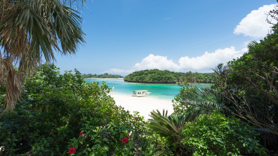Beyond the Ticket Booth: Japan’s Tiny Isle, Asia’s Trembling Fault Lines Beyond the Ticket Booth: Japan’s Tiny Isle, Asia’s Trembling Fault Lines