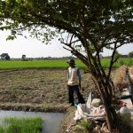 Asia Races Against Time: Indonesia’s Gambit to Beat El Nino’s Famine Shadow