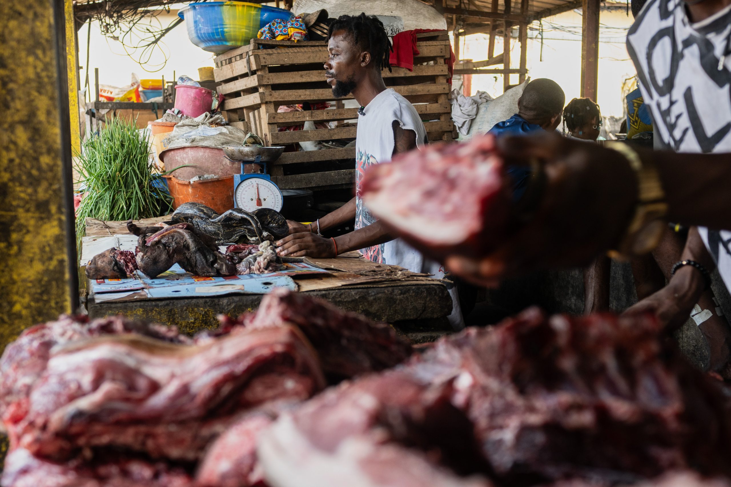 Congo’s Silent Scourge: How Hunger Fuels Ebola’s Grim Path Congo’s Silent Scourge: How Hunger Fuels Ebola’s Grim Path