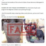 The Ghost of Viral Misinformation: Old Horrors Weaponized in Africa’s Digital Trenches