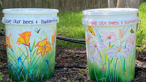 As Mosquito Season Intensifies, Canadians Turn to Social Media for Novel Pest Control As Mosquito Season Intensifies, Canadians Turn to Social Media for Novel Pest Control