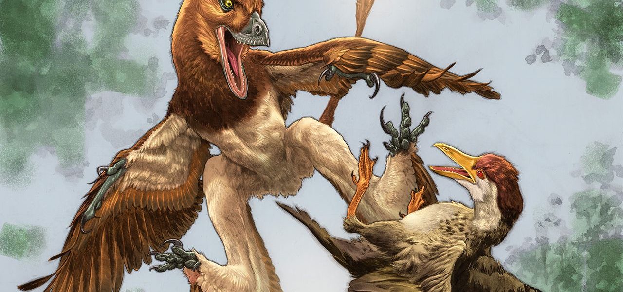 Ancient Wings, Modern Power Plays: China’s Dragon Reveals a Deeper Struggle Ancient Wings, Modern Power Plays: China’s Dragon Reveals a Deeper Struggle