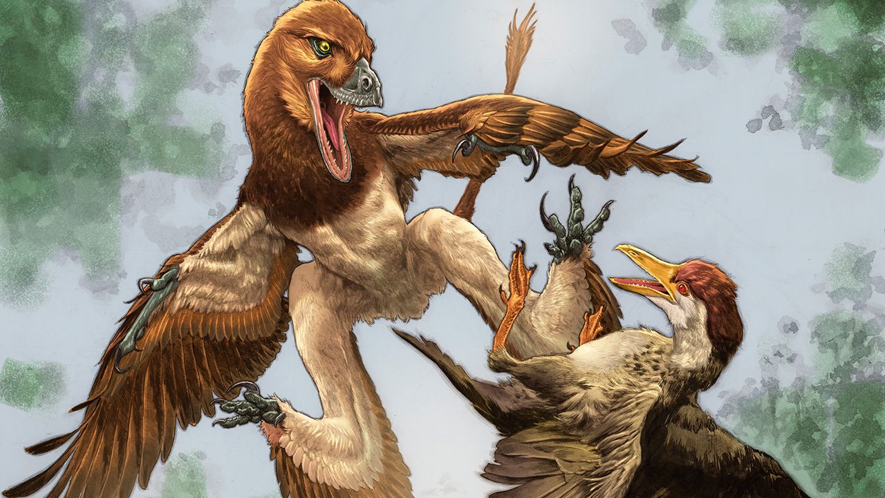 Shadow of the Dragon: Ancient China’s Feathered Menace Reconfigures Prehistoric Predation