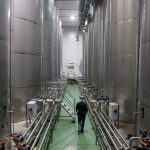 The Ghost in the Machine: French Factories Flicker Amidst European Gloom