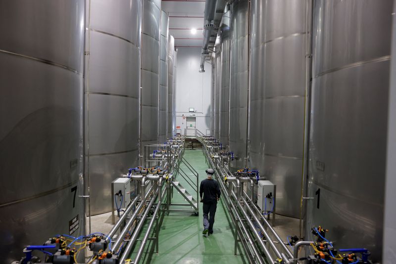 The Ghost in the Machine: French Factories Flicker Amidst European Gloom The Ghost in the Machine: French Factories Flicker Amidst European Gloom