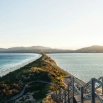 Tasmania’s ‘Wild’ Brand: A Policy Quandary Between Pristine Past and Global Future Tasmania’s ‘Wild’ Brand: A Policy Quandary Between Pristine Past and Global Future