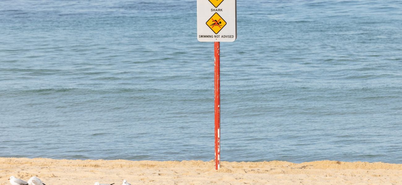 Sydney’s Unseen Jaws: Coastal Lulls, Policy Jitters, and a Broader Global Current Sydney’s Unseen Jaws: Coastal Lulls, Policy Jitters, and a Broader Global Current