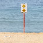 Sydney’s Unseen Jaws: Coastal Lulls, Policy Jitters, and a Broader Global Current Sydney’s Unseen Jaws: Coastal Lulls, Policy Jitters, and a Broader Global Current