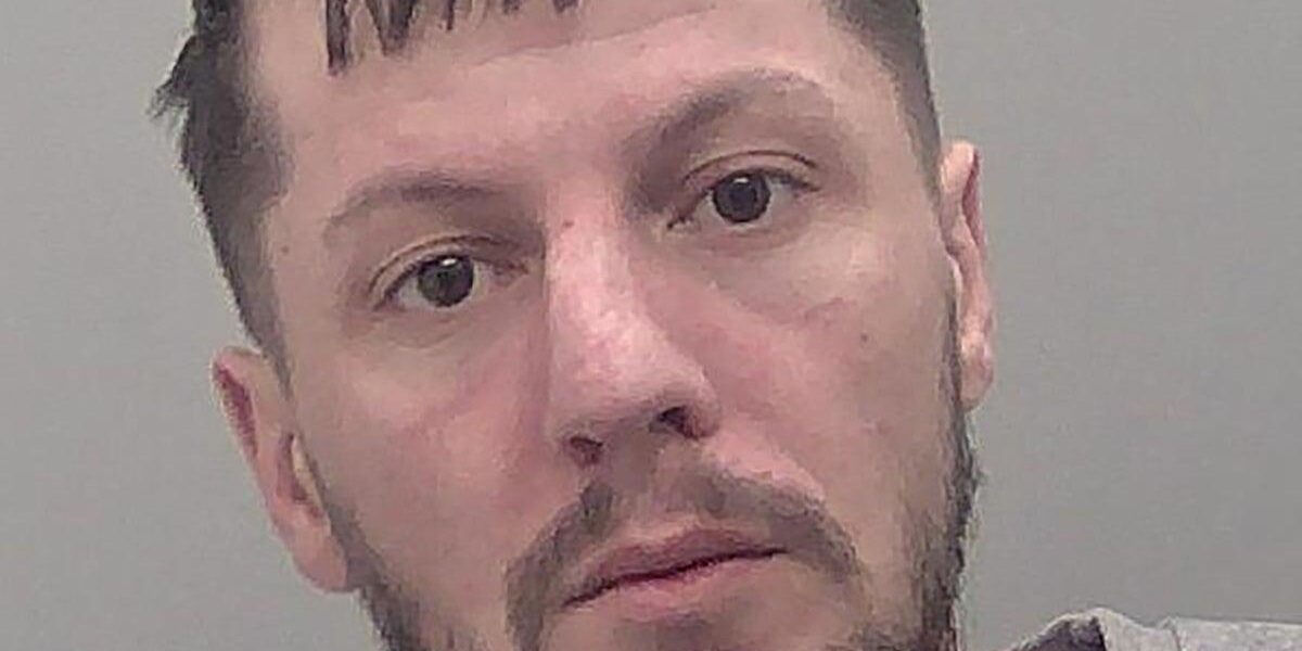 Driver Jailed for Nearly 10 Years After Fatal Hit-and-Run of 89-Year-Old Man Driver Jailed for Nearly 10 Years After Fatal Hit-and-Run of 89-Year-Old Man