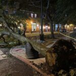 US Holiday Storms: Child Deaths, Power Grid Fails US Holiday Storms: Child Deaths, Power Grid Fails