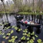 Georgia’s Okefenokee Swamp Among New UNESCO World Heritage Sites Georgia’s Okefenokee Swamp Among New UNESCO World Heritage Sites