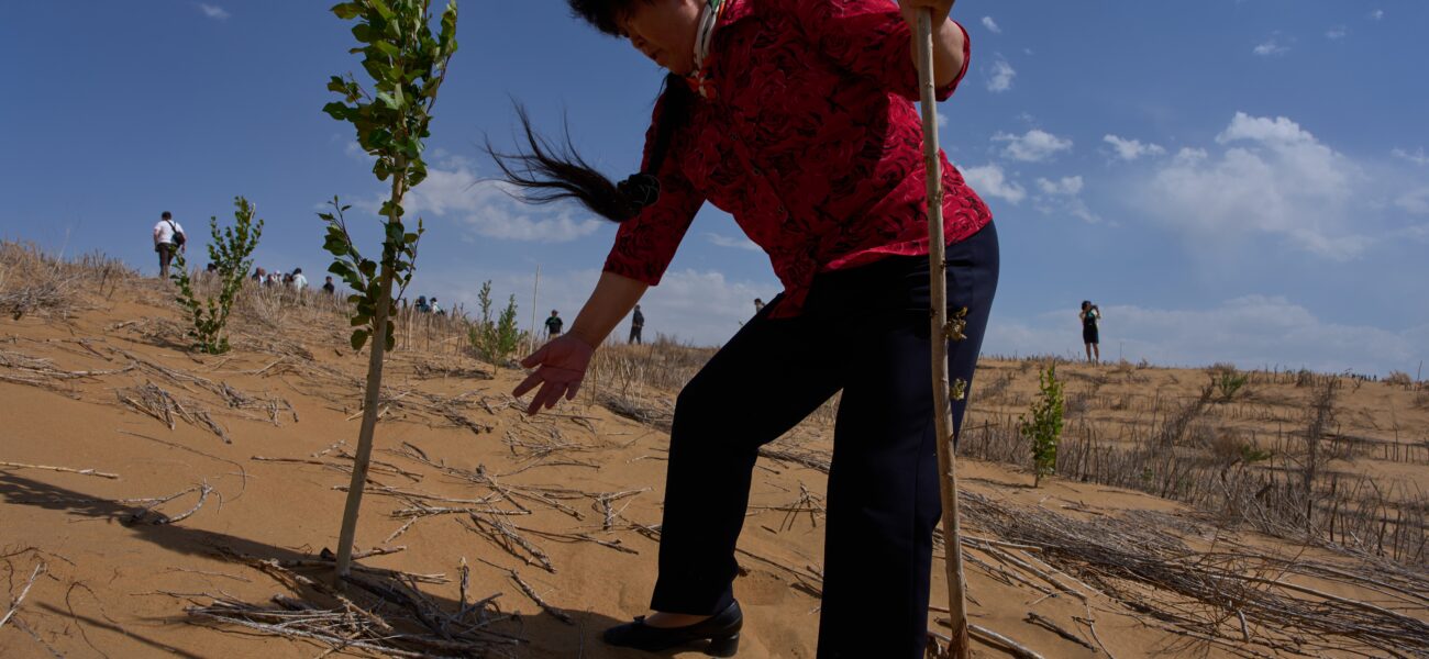 Beijing’s Arboreal Ambition: ‘Green Wall’ Reimagines an Old Battle Against Nature Beijing’s Arboreal Ambition: ‘Green Wall’ Reimagines an Old Battle Against Nature