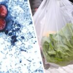 The Unseen Predator: Cyclospora’s Global Reach Undermines Consumer Confidence The Unseen Predator: Cyclospora’s Global Reach Undermines Consumer Confidence