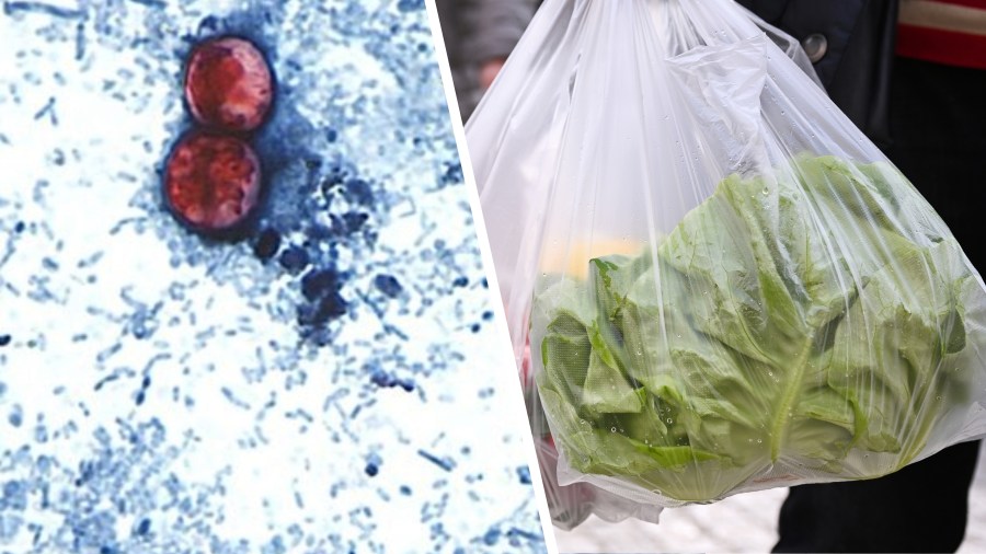 The Unseen Predator: Cyclospora’s Global Reach Undermines Consumer Confidence The Unseen Predator: Cyclospora’s Global Reach Undermines Consumer Confidence