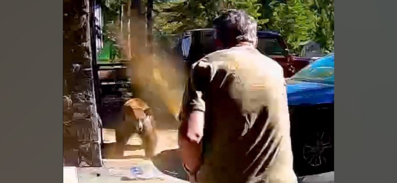 Tahoe’s Wild Warning: Bear Incident Spotlights Global Human-Nature Policy Brink Tahoe’s Wild Warning: Bear Incident Spotlights Global Human-Nature Policy Brink
