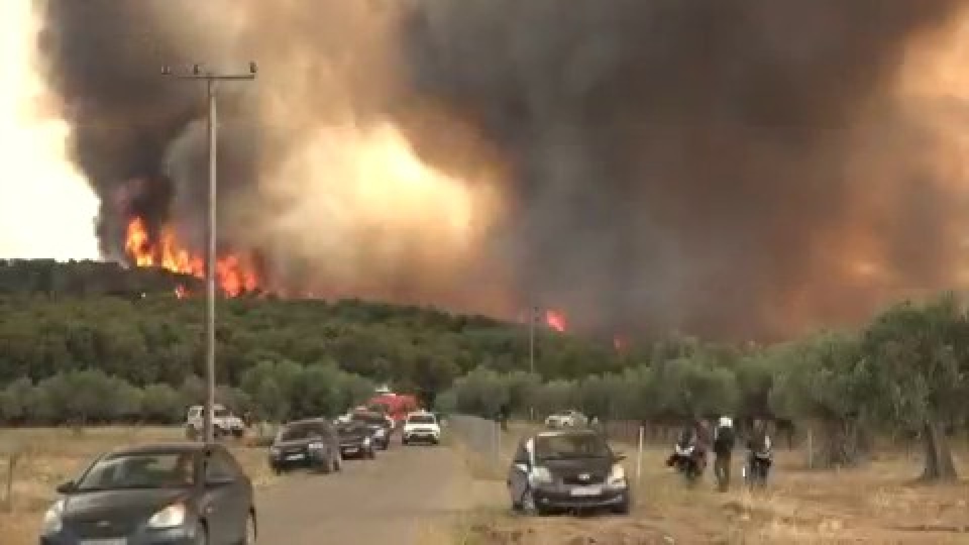 Europe Burns, Forests Fall: A Continental Climate Reckoning Ignites Policy Alarms