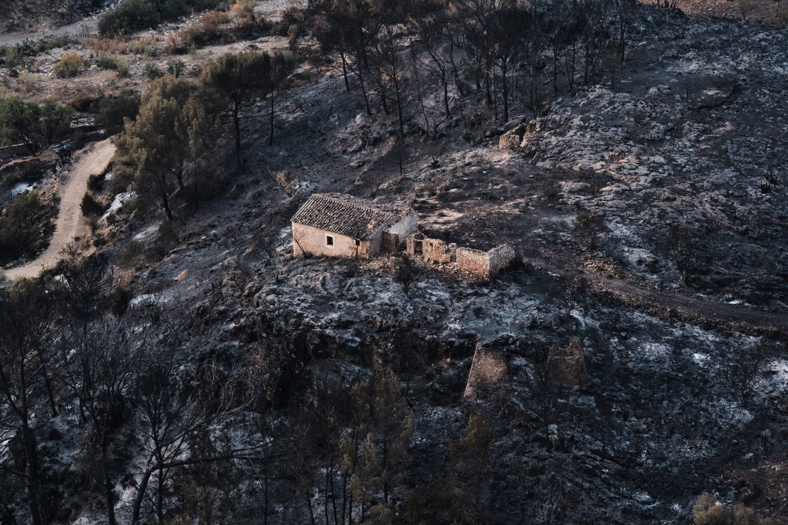 Spain’s Inferno Echoes Global Climate Desperation Amidst Tragic Loss