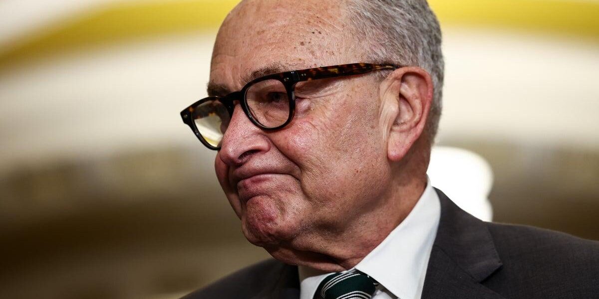 Democrats Face Financial and Ideological Challenges Ahead of Midterm Elections Democrats Face Financial and Ideological Challenges Ahead of Midterm Elections