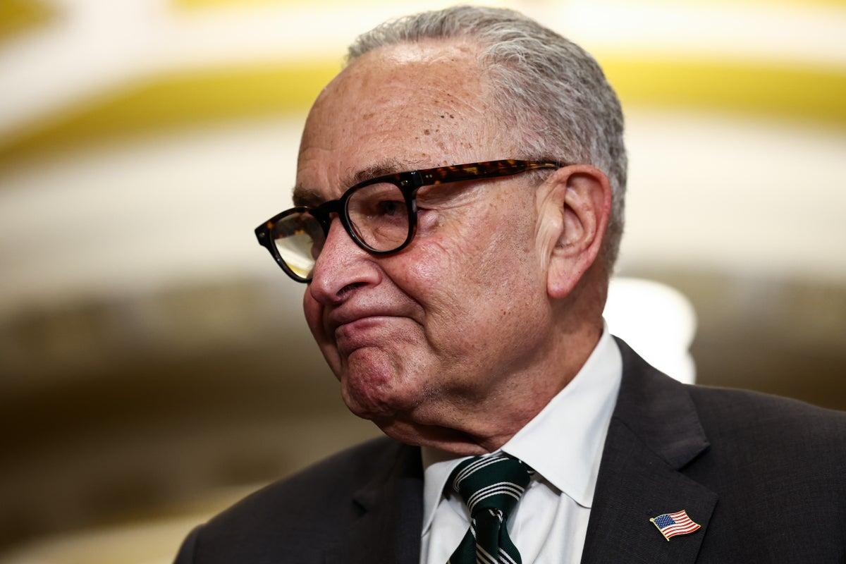 Democrats Face Financial and Ideological Challenges Ahead of Midterm Elections Democrats Face Financial and Ideological Challenges Ahead of Midterm Elections