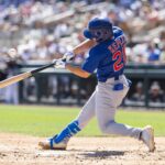 Shadows of a Stadium Dream: Baseball’s Global Blueprint Meets Minor League Reality